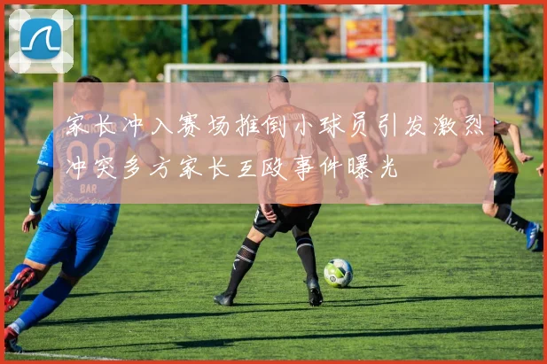 家长冲入赛场推倒小球员引发激烈冲突多方家长互殴事件曝光