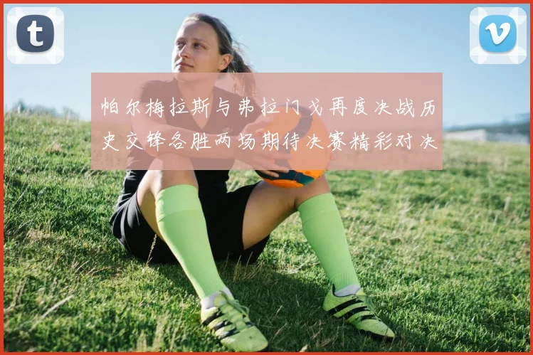 帕尔梅拉斯与弗拉门戈再度决战历史交锋各胜两场期待决赛精彩对决